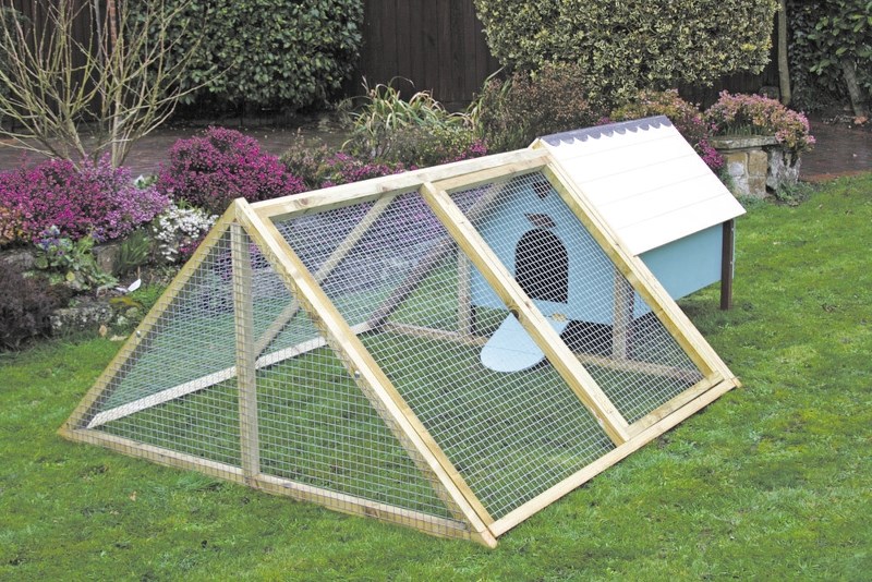 An A-frame chicken coop.