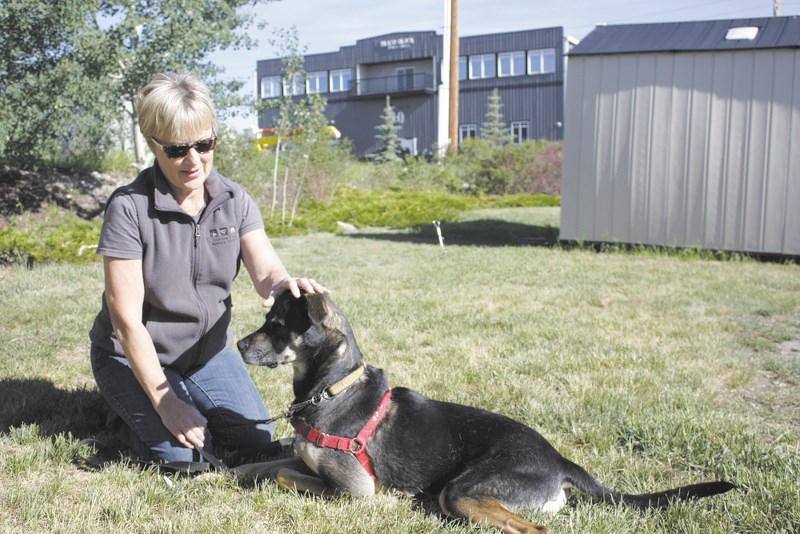 Shannon Bell has been volunteering with the Cochrane and Area Humane Society for the past five years.