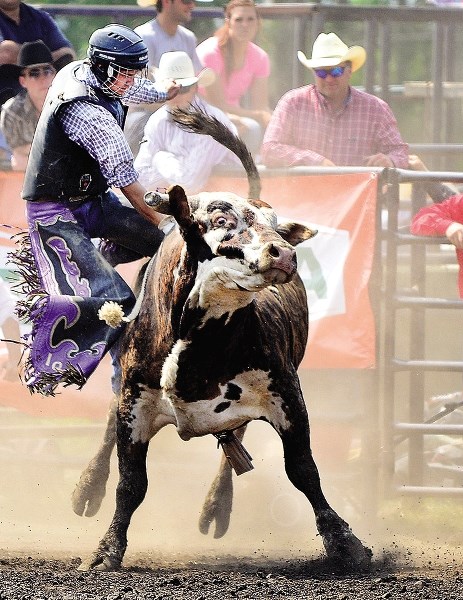 Dogpound Rodeo.