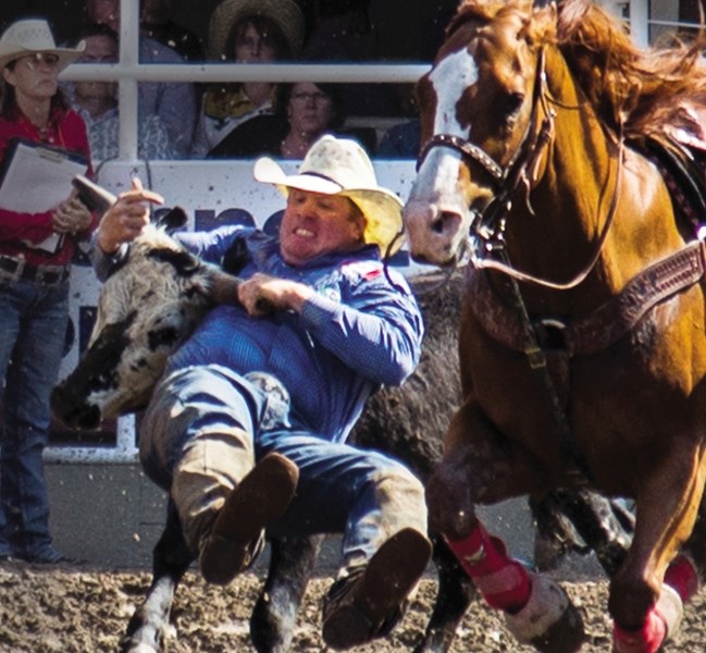 Cochrane&#8217;s Tanner Milan grapples with a steer in the Calgary Stampede steer-wrestling final July 12.