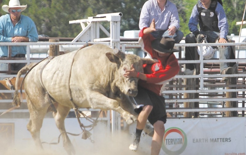 Wacey Nash, along with his wife Tracey, have been involved with rodeo for much of their lives, and understand the dangers and excitement of bullfighting.