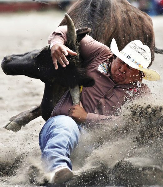 Jim Stevens wrestles a steer to the ground at the Tsuu T&#8217;ina Rodeo and Powwow last year.