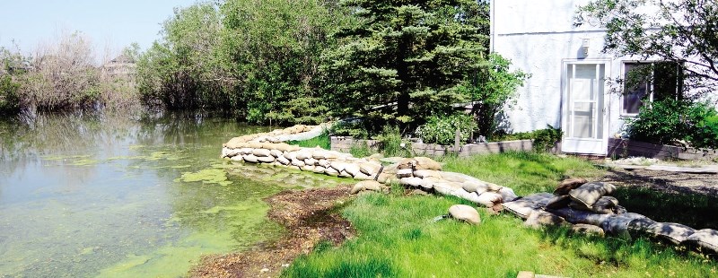 Cochrane Lake flooding a yard.