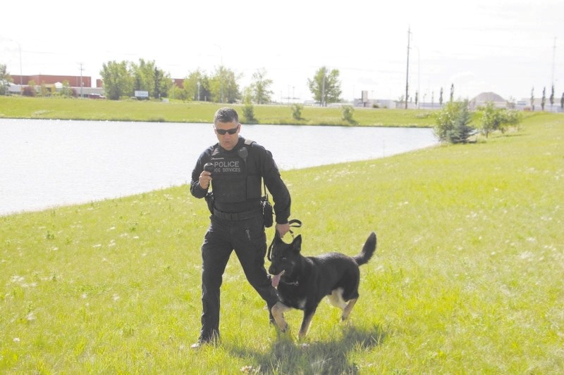Corporal Mike Zinck works with his police dog and partner, Ecko, Zinck and Ecko are one of two sets of canine partners serving Airdrie and the surrounding area with the RCMP
