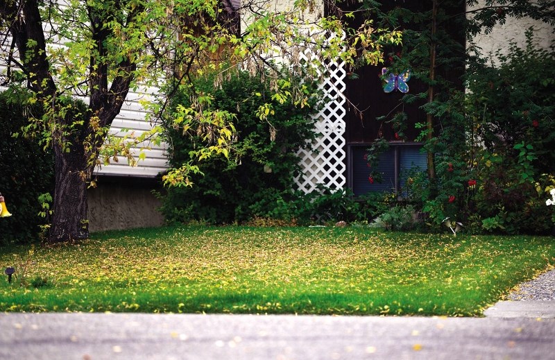 Winter lawn care.