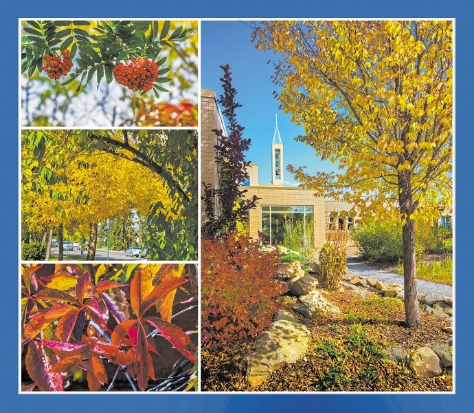 (Left) mountain ash berries, golden poplars and Virginia creeper vines celebrate autumn&#8217;s arrival in Cochrane, while (right) the Sacred Garden at St. Mary&#8217;s