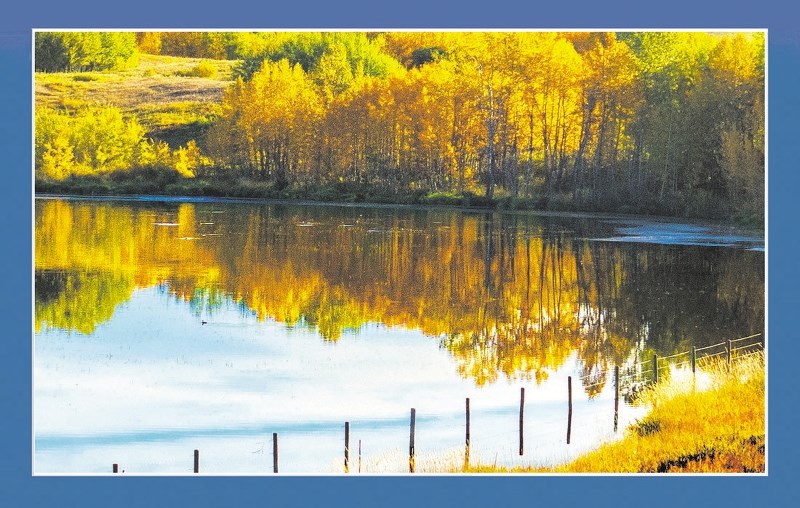 An early autumn journey from Cochrane to Airdrie along Highway 567 invited me to re-engage my imagination in the spirit of the renowned Canadian nature photographer, the late 