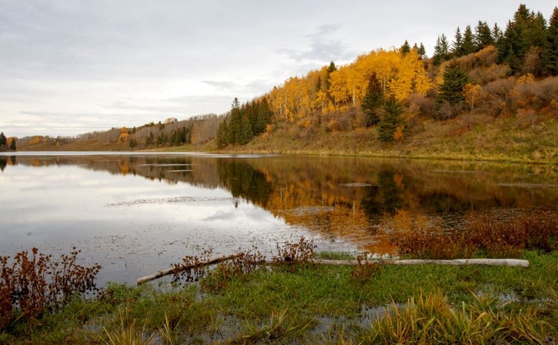 Skull Lake is part of a Bow River Watershed project involving Nature Consercancy of Canada volunteers working to encourage the growth of native vegetation to help stabilize