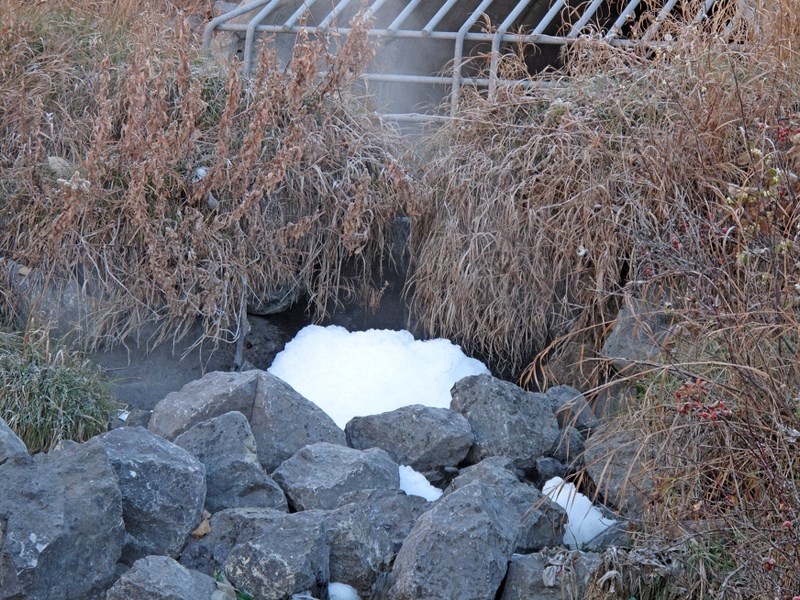 A white foam was spotted flowing out of a storm drain under Griffin Road into Bighill Creek. Residents are concerned about the substances they saw flowing from the storm
