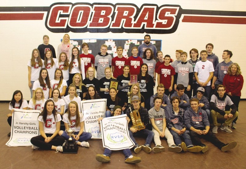 Cochrane High School Cobras volleyball teams display the banners and hardware for their efforts at Divisionals.