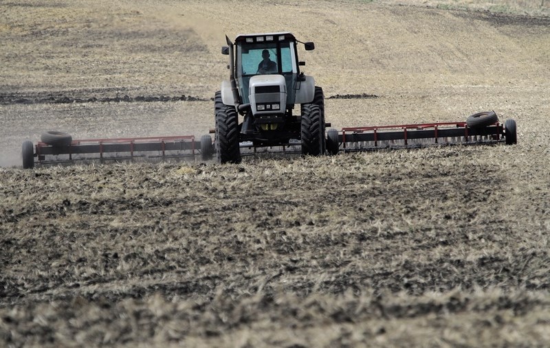 Rocky View County council approved the Agricultural Boundary Design Guidelines at the Nov. 24 meeting. The guidelines will help eliminate conflicts between agricultural and