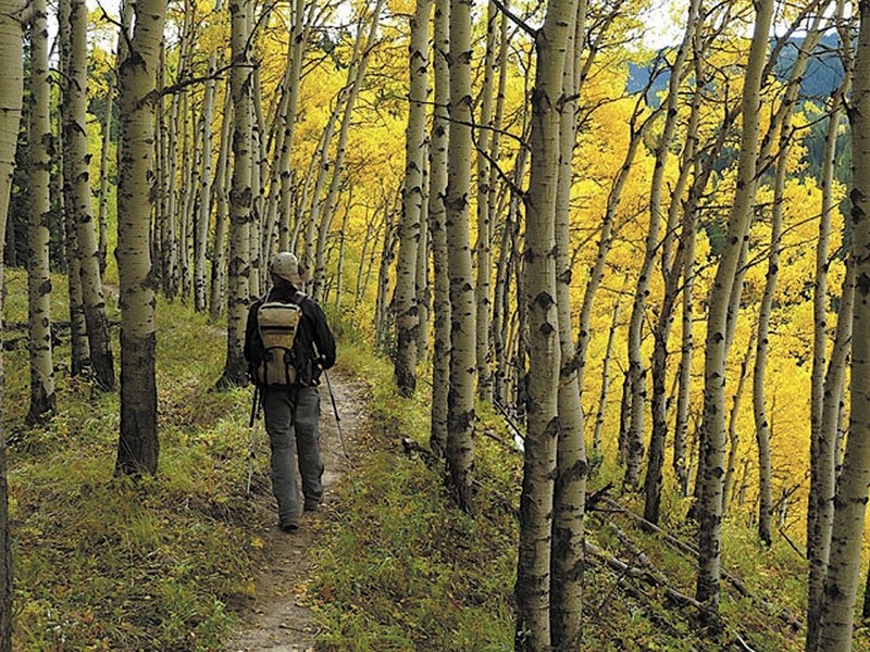 With 2.5 kilometres finished, the Bragg Creek Trans Canada Trail project still has another 5 km to go.