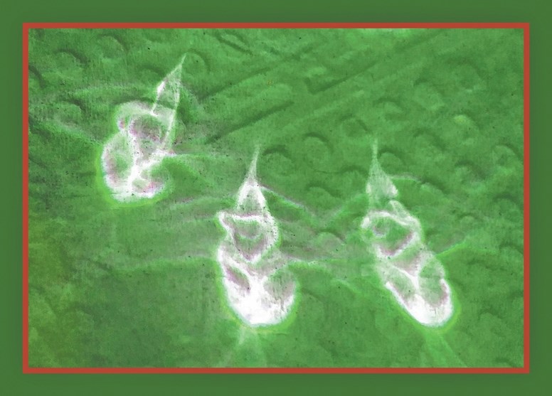 Three of Santa&#8217;s elves delivered important Yuletide reminder in refraction of chandelier lights through drinking glass onto napkin.