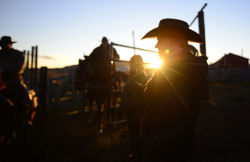 Many local farmers and ranchers still have questions about Alberta&#8217;s new Enhanced Protection for Farm and Ranch Workers Act, and how it will affect them.