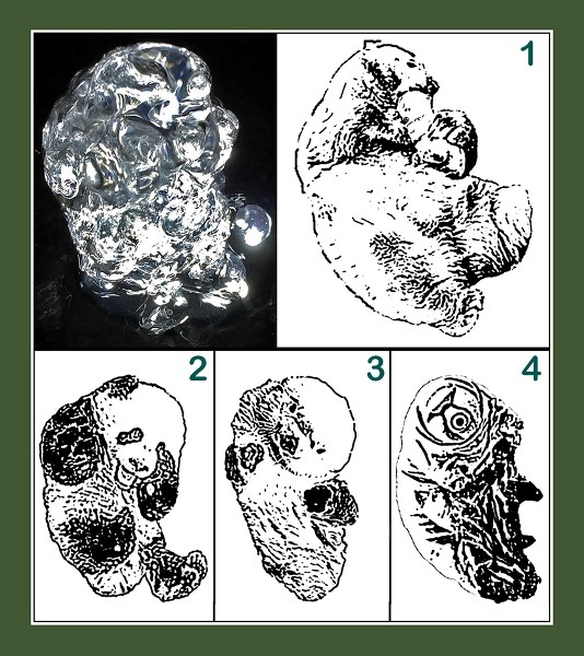 Shapes seen in fountain of water at top left include: (1) a mother bear cuddling her cub, (2) a panda pup, (3) a sea otter, and (4) a tardigrade.