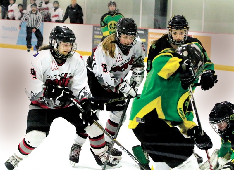 Cochrane bantam Rockies players Shaye Blydo (#9) and Mikaela Murphy (#3) scramble for the puck in a goal crease melee in their gold medal game against Okotoks Oilers on Jan.