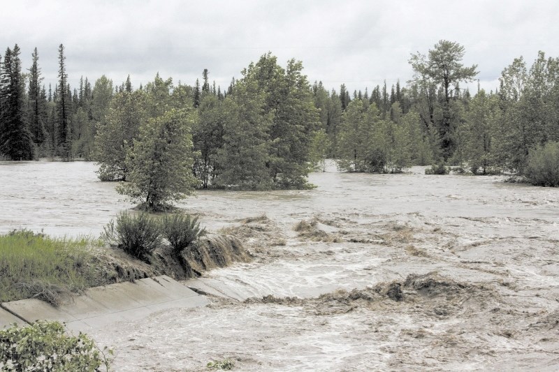 The Springbank landowners group known as DontDamnSpringbank presented results of a study to Rocky View County council Feb. 2, which they said contradicted previous figures