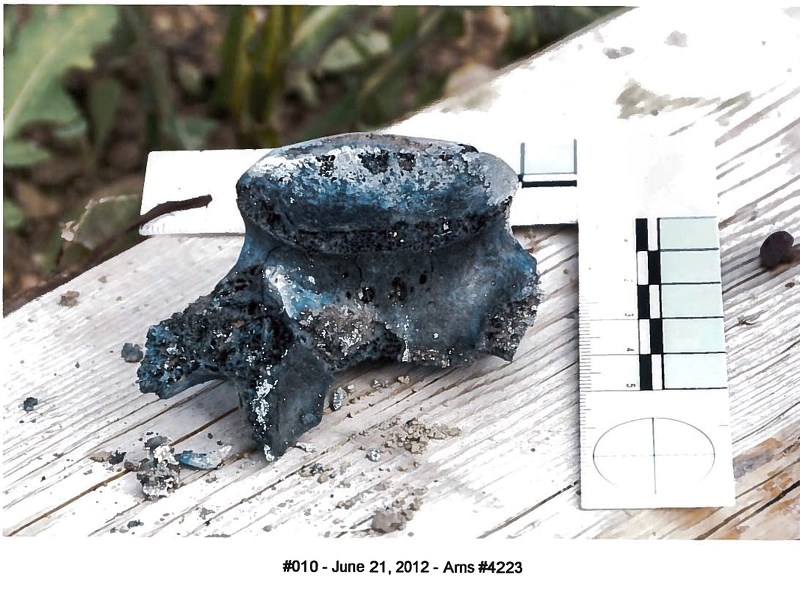 A burned bone fragment discovered by police.