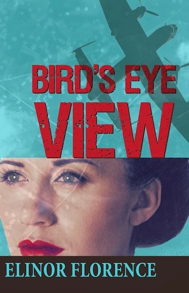 Bird&#8217;s Eye View