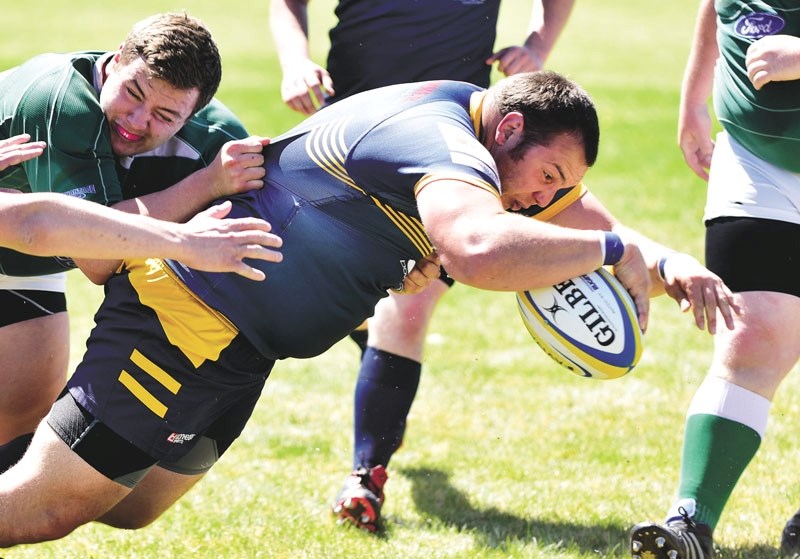 ABOVE: Anthony Battistone rams through a try for the Bow Valley Grizzlies mens rugby club on May 7 during his team&#8217;s win against the Calgary Irish at Mitford Pond.