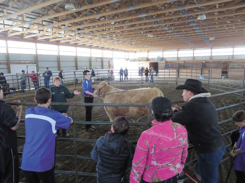 An audience watches a showmanship demonstration at the club&#8217;s recent Mock Steer Show.