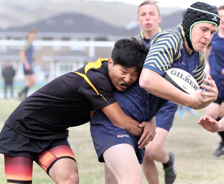 The bears continue to lay waste to the Big Sky Rugby Union.
