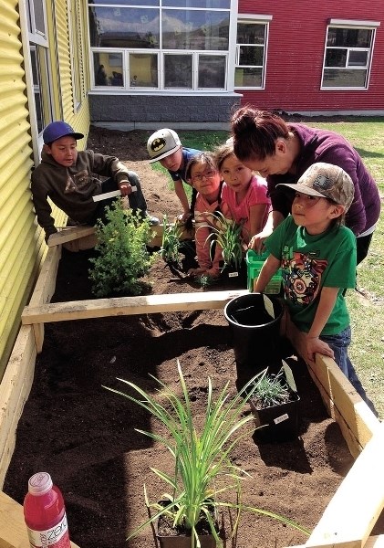 Nakoda Elementary School&#8217;s grade 1 class working on the playground reclamation project at the school in Morley. From left to right, Jakoby Wesley-Beaver, Cruz