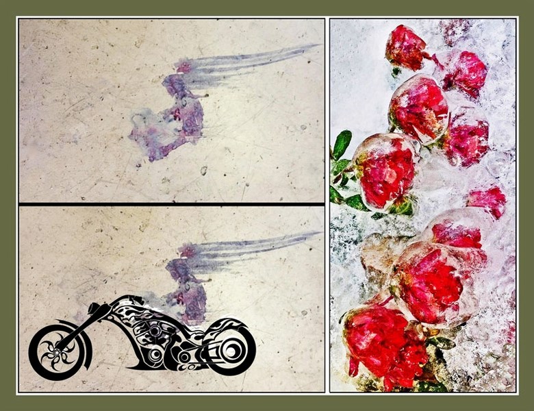 Smudge on floor at Anything Grows suggested speeding biker during conversation on imagination, while autumn roses following freezing rain inspired photo on creativity in