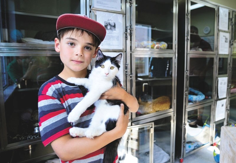 Eight-year-old Cochranite Nathan Wagman raised $275 for the Cochrane and Area Humane Society.