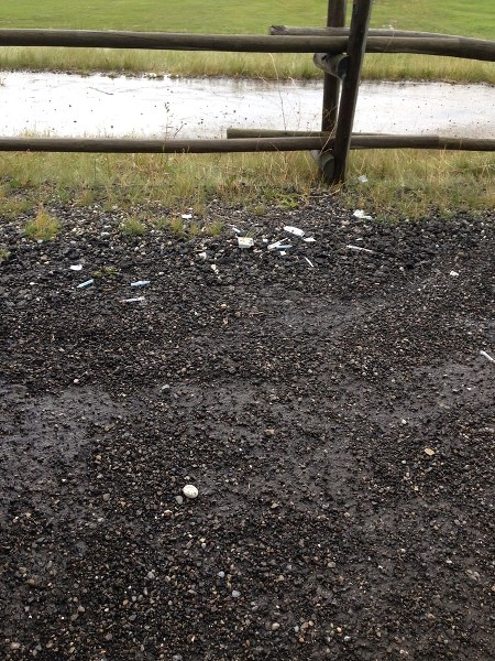 Needles found near the Gleneagles soccer field.