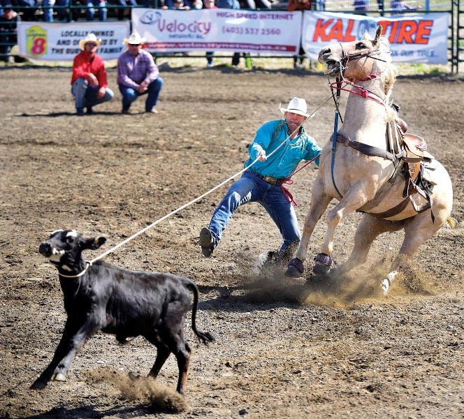 Bryce Kulbabki of Red Willow ropes a calf at the 50th edition of the Cochrane Lions Club Labour Day Rodeo.