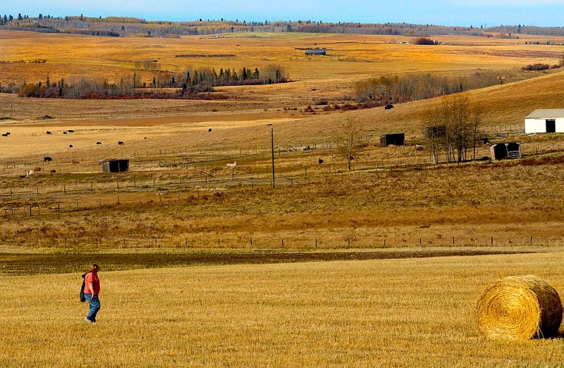 Farmers are hoping for goo weather to finish of this season&#8217;s harvest.