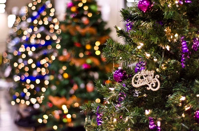 This season&#8217;s annual Festival of Trees is one of many charitable events organized by the Cochrane Lioness Club.
