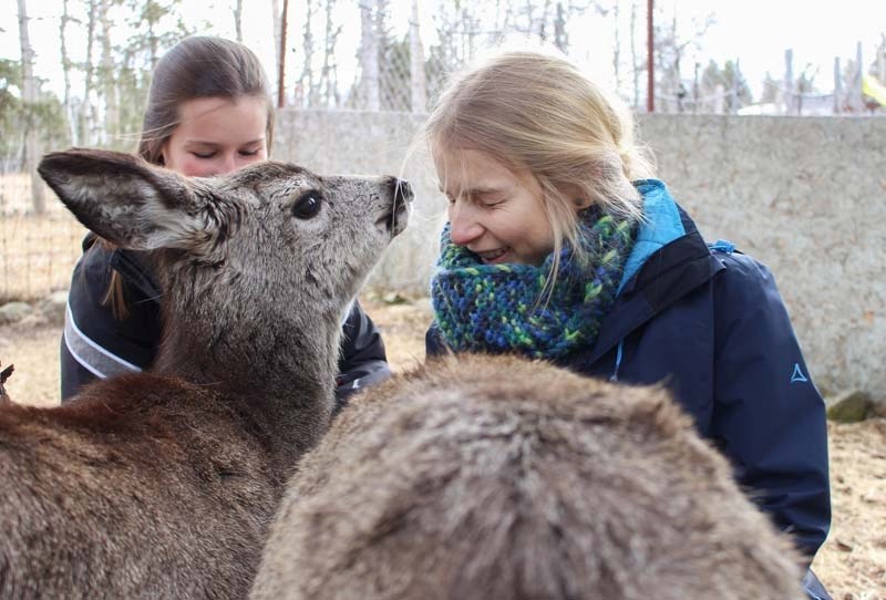 Gael Misselyn, left, and Sarah Layendecker feed mule deer at the Cochrane Ecological Institute in Cochrane, Alberta on April 3