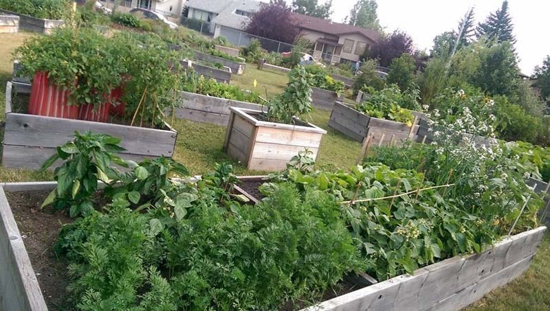 Glenbow Elementary School&#8217;s garden program is a successful example of how community gardening can work.