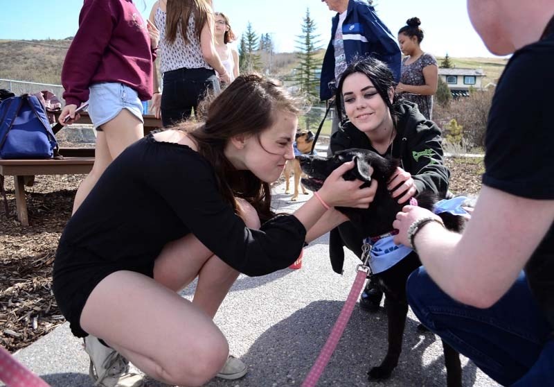 (Left) Montana Loughran,16, and (right) Cassidy Wambold, 16, getting some puppy love during Cochrane High School&#8217;s annual workshops on Self Care and Coping on May 4 in