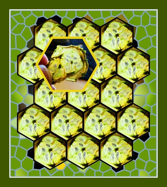 A backlit cucumber crisp (inset) inspired thoughts of what a stained-glass window of such chips might look like.