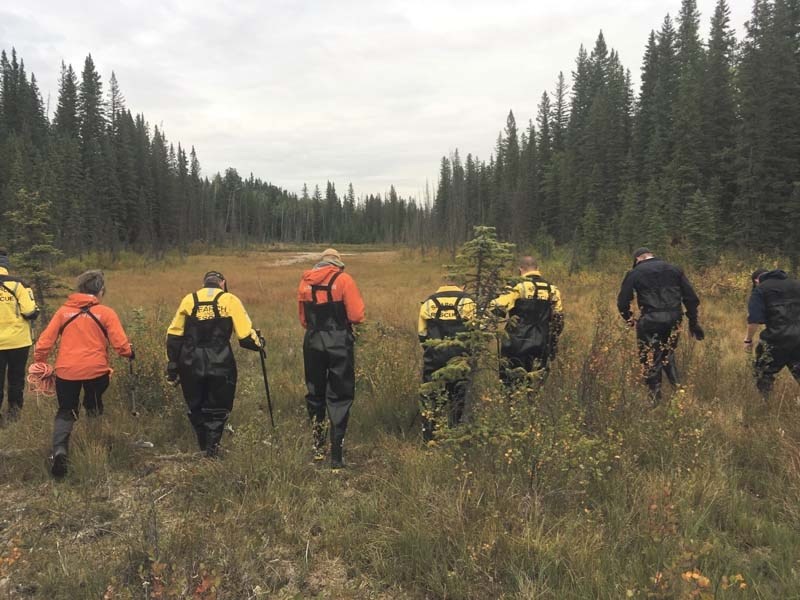 RCMP and volunteers scour an area near Morley for any clues related to the 2012 disappearance of Sara Coates.