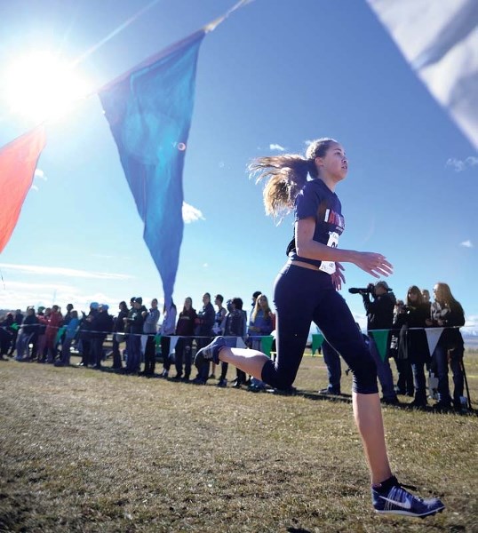 The St. Timothy Thunder cross country team is looking to build off their success in recent years.