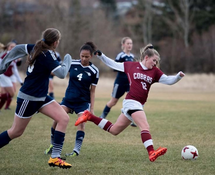 Cobra Aislin Phillips gains control of the ball during the semi-final game against the Bobcats at Rangers Field.