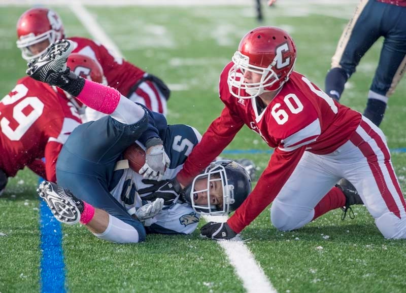 The Cochrane Cobras will host the Cardston Cougars on Nov. 18 in the provincial regional final at Spray Lake Sawmill Legacy Field.