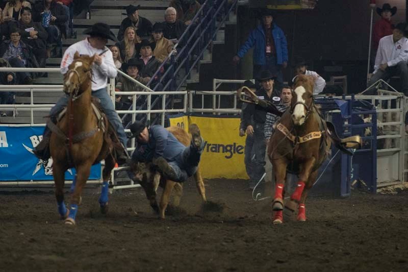 The three Milan brothers had an eventful Canadian Finals Rodeo that took place Nov. 8-12.