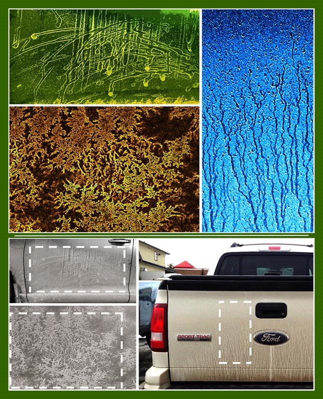 Mud in your eye: beauty hiding in plain sight