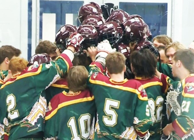 Silvertips