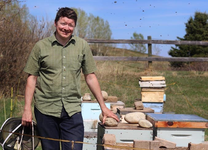 Will Pratt &#8211; Bees WEB