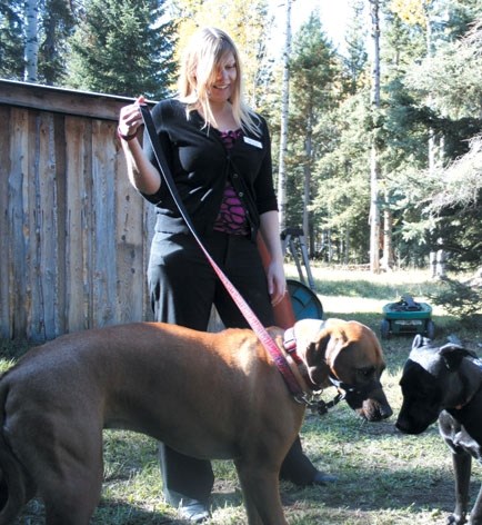 Erin Phillips of Nestle Purina allows for some play time between her dog, Kanzi, and Stetson, one of the rescued dogs by Dogs With No Names.