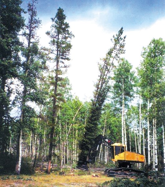Spray Lake Sawmills will soon cease logging operations in the Castle wilderness area.