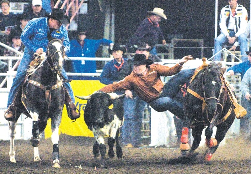 Cochrane&#8217;s Tanner Milan reaches for his steer at the Canadian Finals Rodeo (CFR) in Edmonton Nov. 8. Milan cleaned up at the CFR to win the Canadian steer wrestling