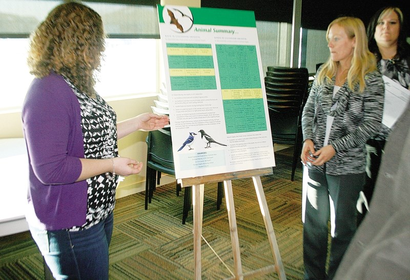 Students from Cochrane High School&#8217;s Sustainable Development Committee show Rocky View School Board members detailed facts about their proposed wind turbine project.