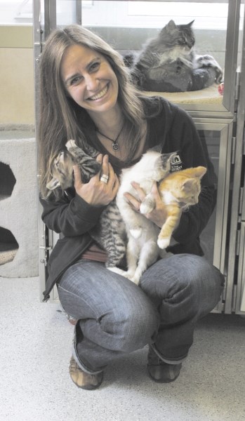 Volunteer coordinator Janine Rosler enjoys an impromptu grooming from one of the kittens during play time.